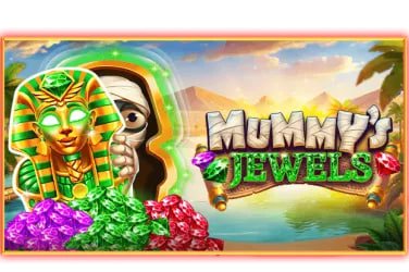 11mmk Live Casino လောင်းကစား hero banner